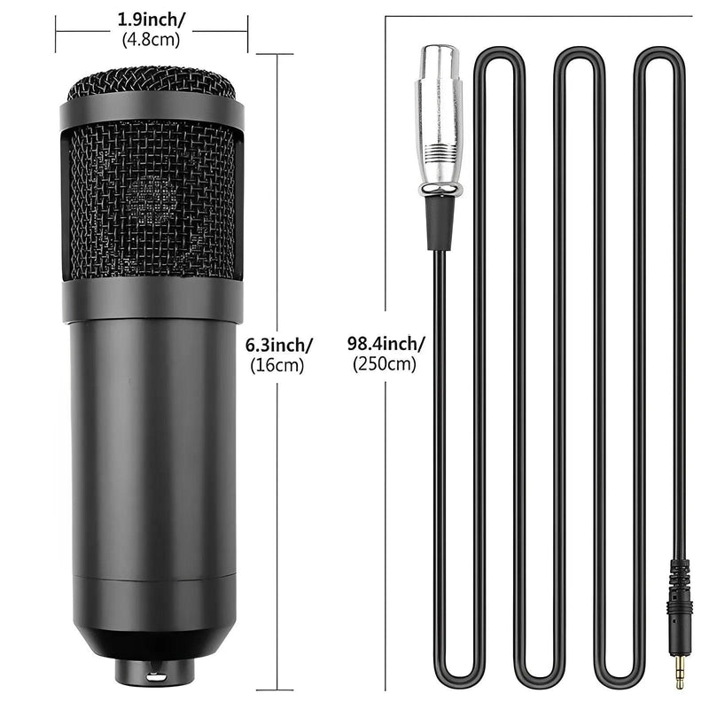 Microfone BM estúdio Condensador com braço articulado