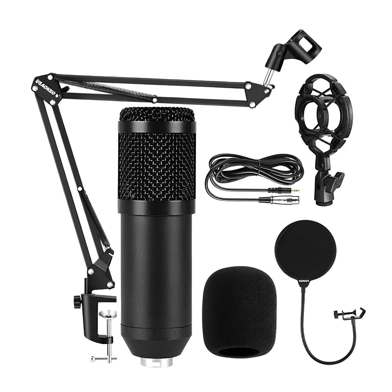 Microfone BM estúdio Condensador com braço articulado