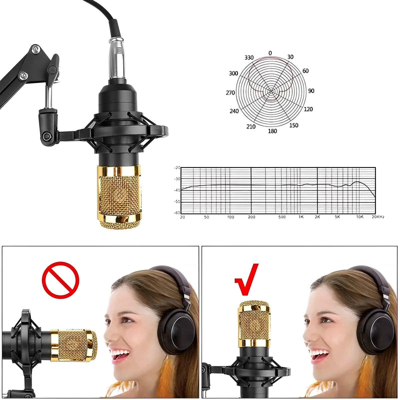 Microfone BM estúdio Condensador com braço articulado